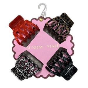 NWT ⚜️♥️⚜️ Sunday State Fall Colors Hair Claw Clip Set of 4